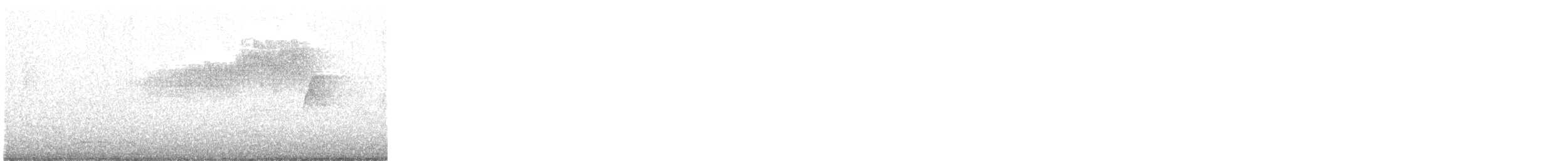 Kuzeyli Parula - ML144393691