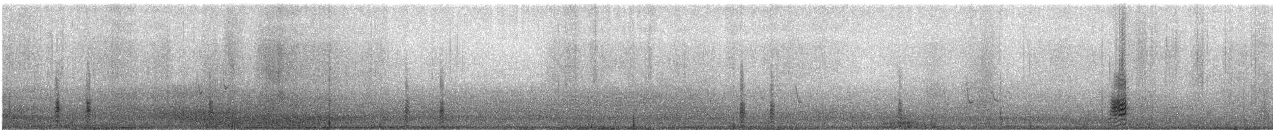 Крижень андійський - ML144409101
