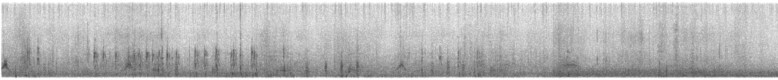 Red Shoveler - ML144410271