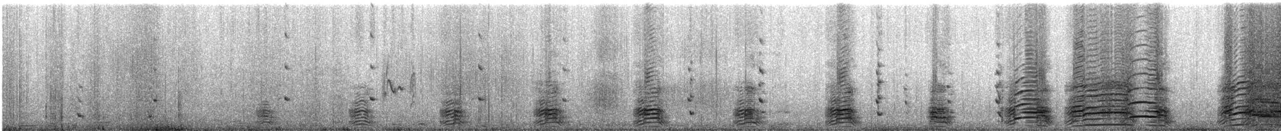 ホークランドカラカラ - ML144413581