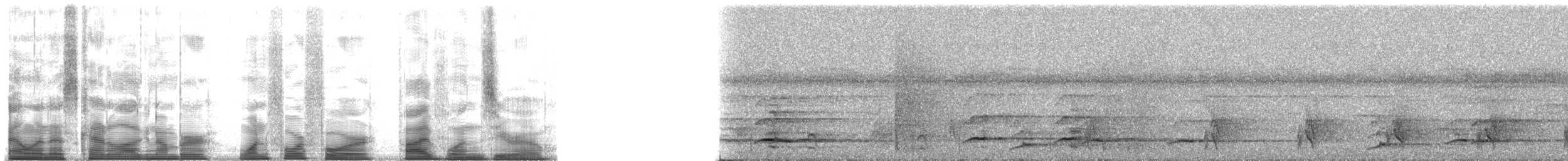 Toucan à bec rouge (tucanus) - ML144510