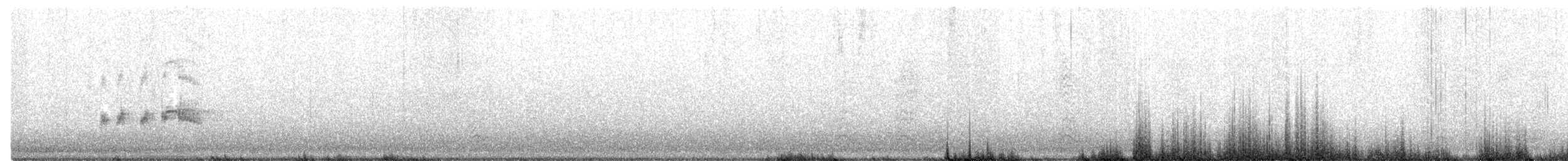 Râle de Virginie - ML144615961