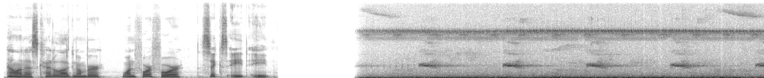 Channel-billed Toucan (Channel-billed) - ML144688