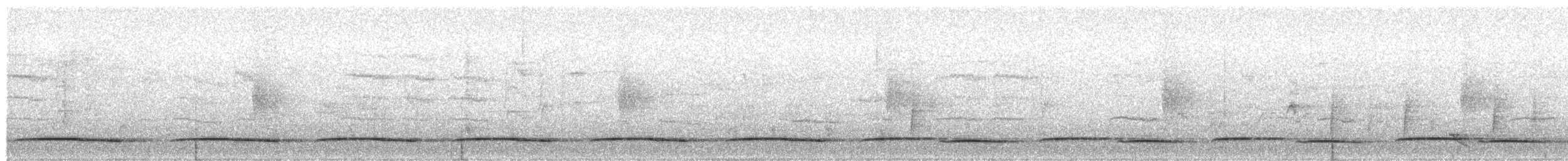 Barred Long-tailed Cuckoo - ML144704591