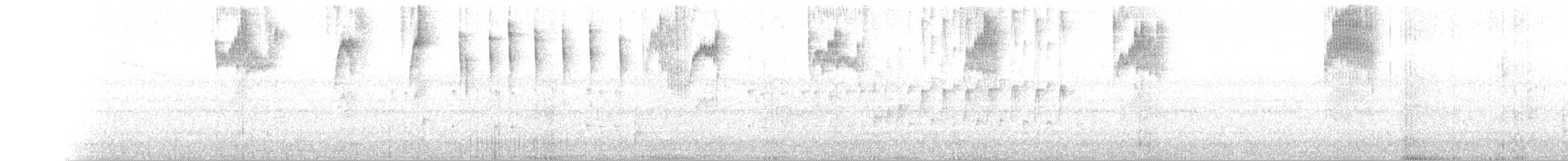 kolibřík hyacintový - ML144808381
