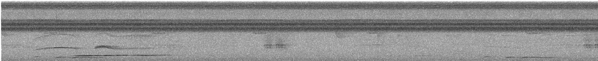 Чокский скрытохвост - ML144868461