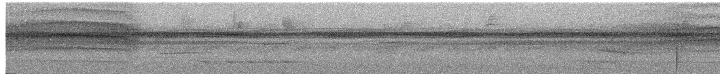 Sharp-tailed Streamcreeper - ML144871861