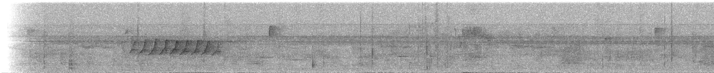 キヅタアメリカムシクイ（coronata） - ML144887101