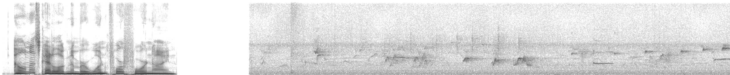 Narrow-tailed Starling - ML1449