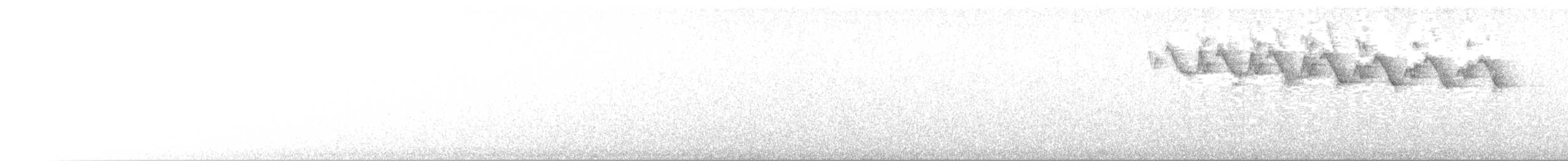 lesňáček černobílý - ML144927711