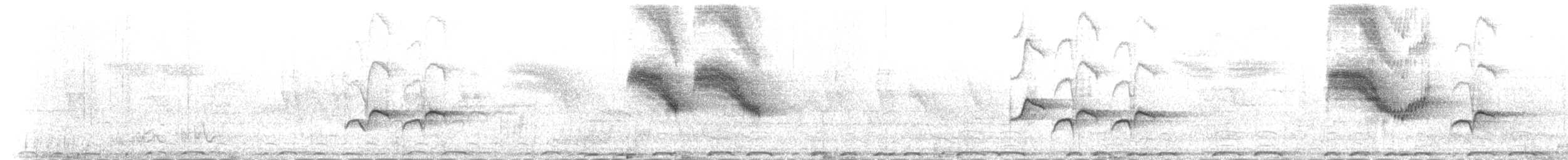 Kuzeyli Drongo Sinekkapanı - ML144956471