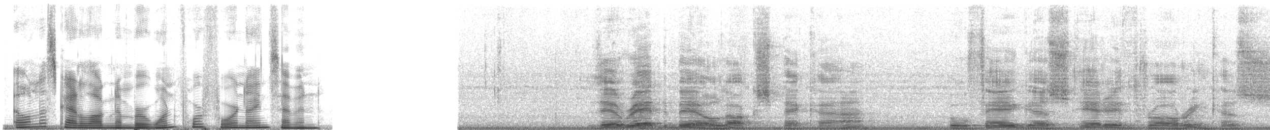 Rotschnabel-Madenhacker - ML14497