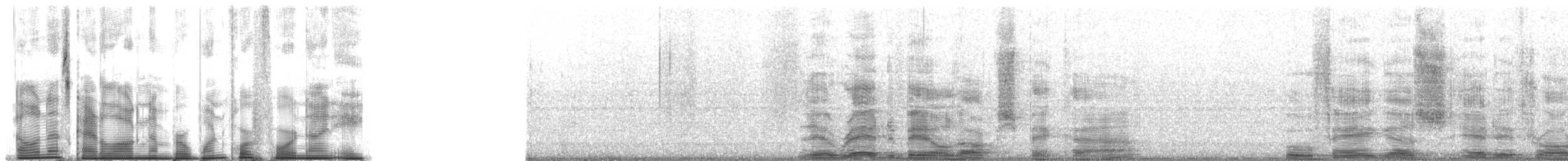 Rotschnabel-Madenhacker - ML14498