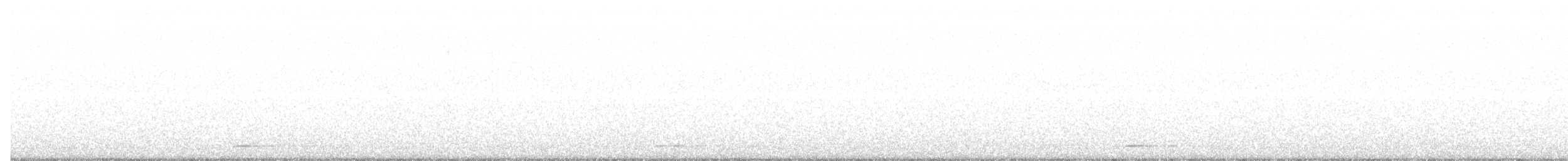Chevêchette naine - ML144980811