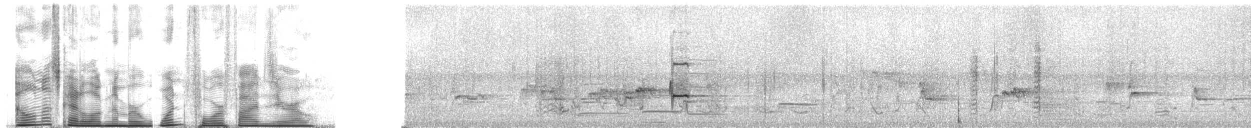 Narrow-tailed Starling - ML1450