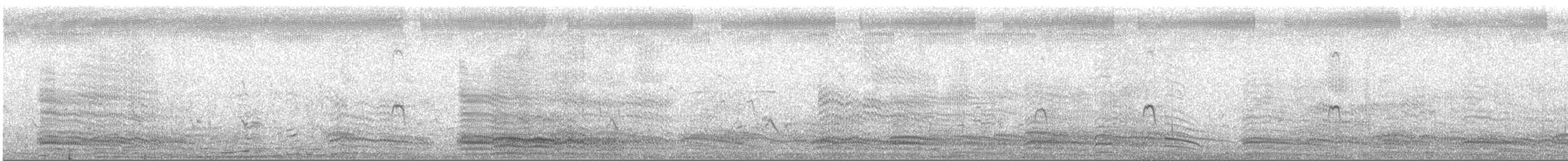 Braunkopfmöwe - ML145034821