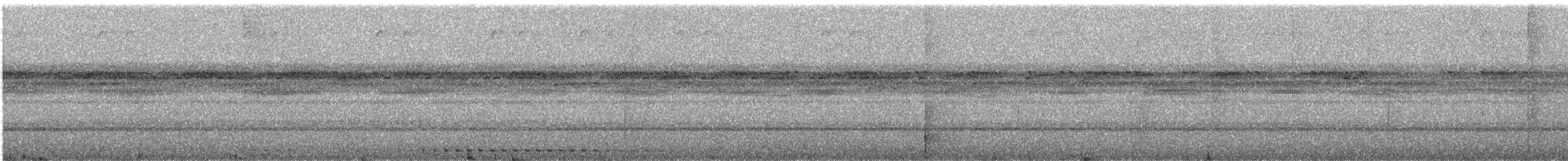 Рораймская совка (roraimae) - ML145118601