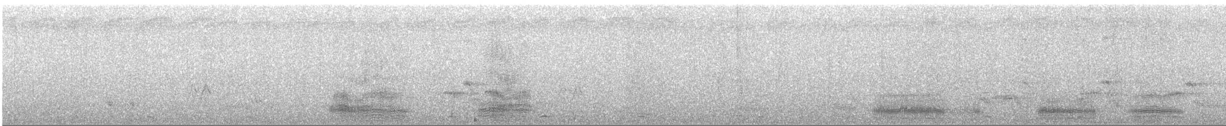 コサギ - ML145170431