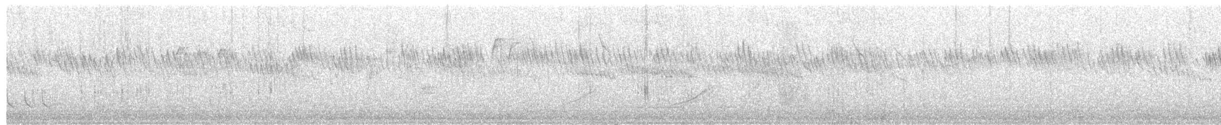 Seidenschwanz - ML145173561