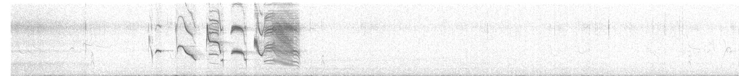 Long-tailed Meadowlark - ML145181461