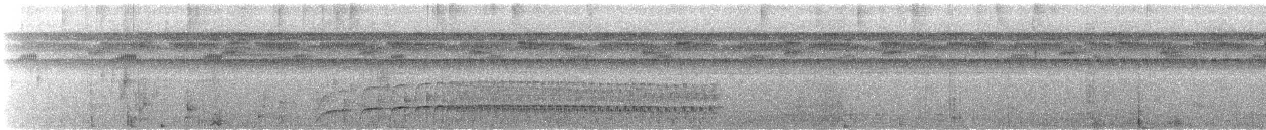 Белобородая якамара - ML145236371