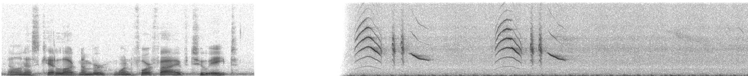 Icterine Warbler - ML14528