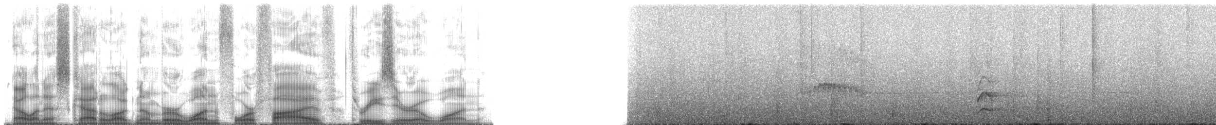 Turuncu Karınlı Manakin - ML145301