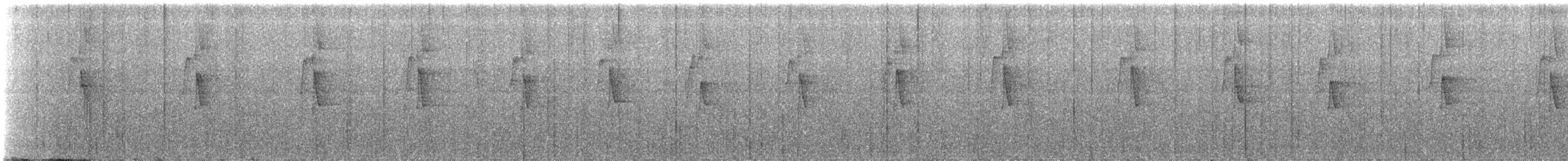 Большеклювый колибри-отшельник [группа moorei] - ML145311791