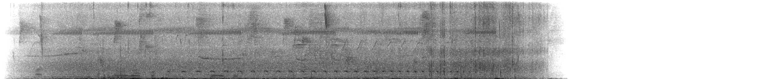 Weißbrust-Ameisenwürger - ML145313411