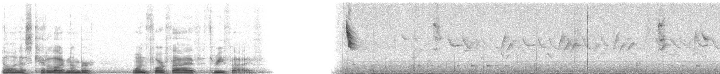 Canary Islands Chiffchaff - ML14535