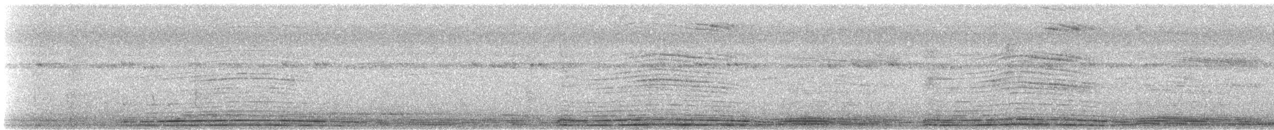 Wedge-tailed Shearwater - ML145354681