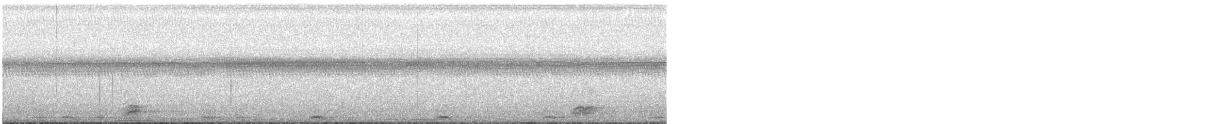 Black-crowned Night Heron - ML145366561