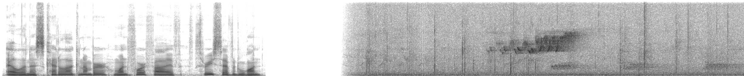 ミズイロアメリカムシクイ - ML145371