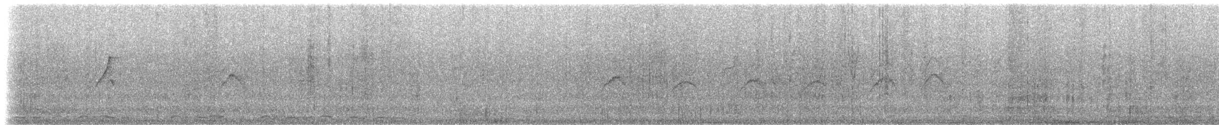 Pygmy Sunbird - ML145434581