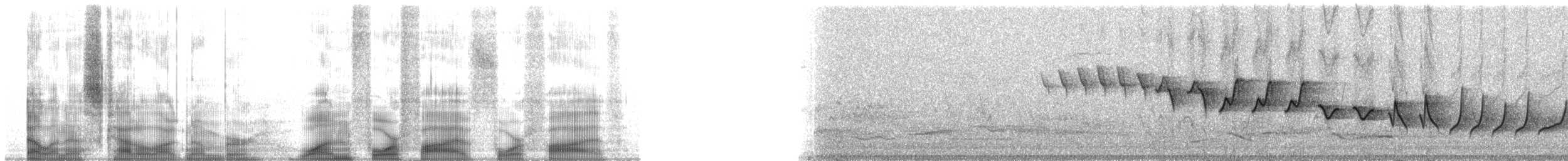 歐亞柳鶯 - ML14545