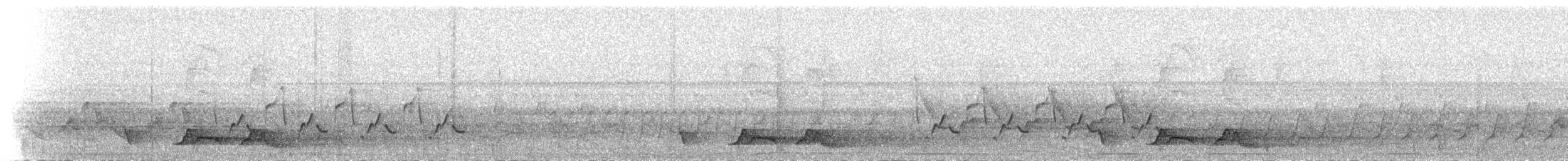 チャックウィルヨタカ - ML145459711