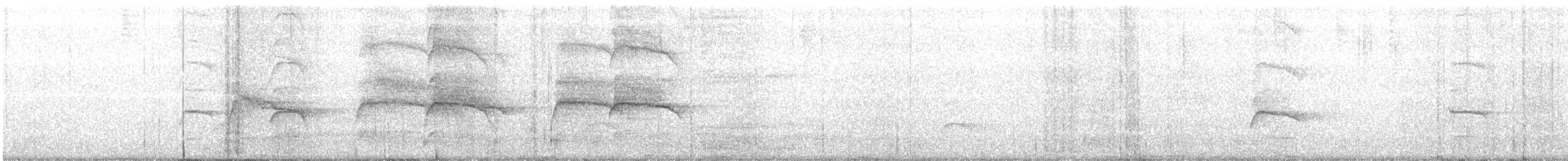 Chilean Hawk - ML145469721