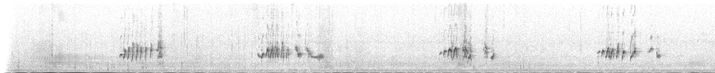 hekkskvett (galactotes gr.) - ML145538411