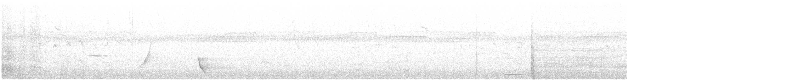 Gallinule de Tasmanie - ML145566091