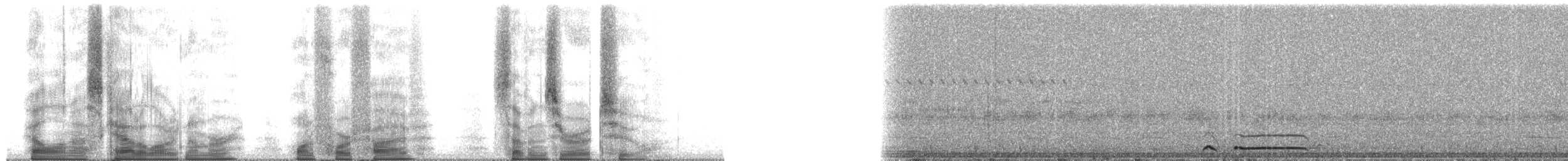 アナホリフクロウ - ML145702