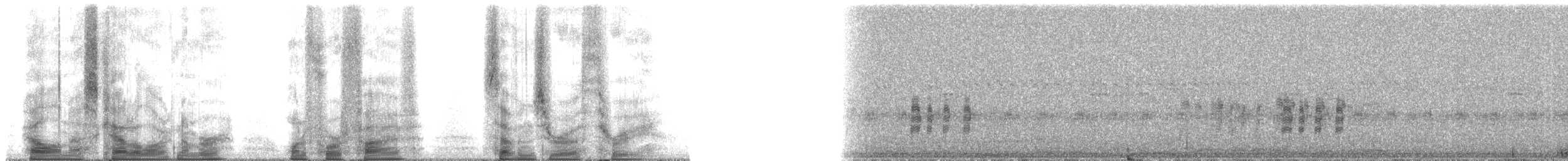 カリブヨタカ - ML145703