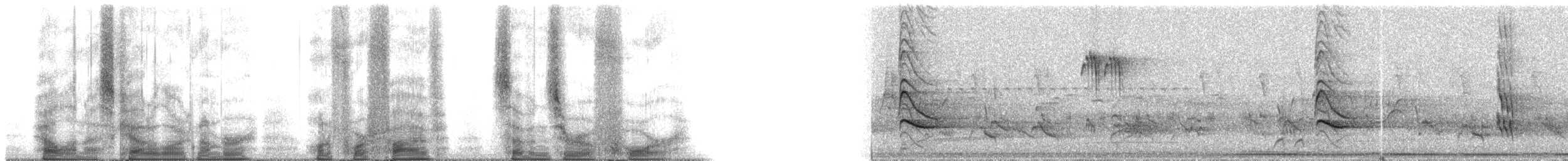 Eastern Red-legged Thrush - ML145704