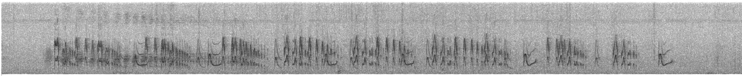 Nordstelzentyrann - ML145706151