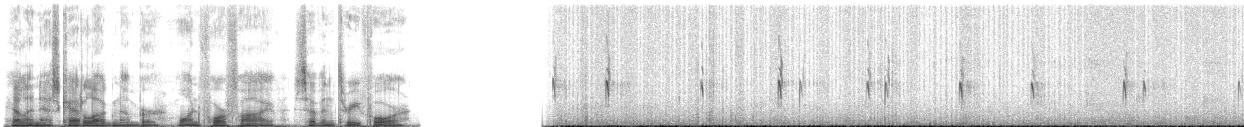 Bec-croisé des sapins - ML145734