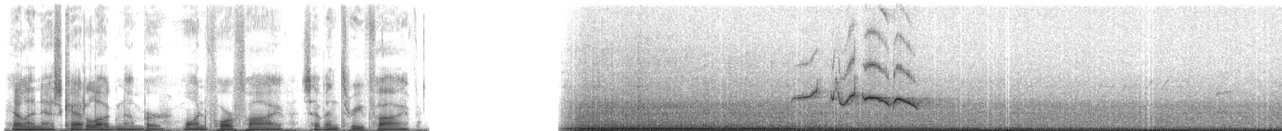 svartkinnlattertrost - ML145735