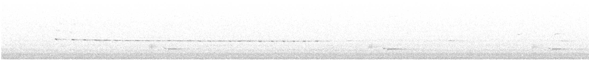 Медолюб-шилодзьоб східний - ML145740871