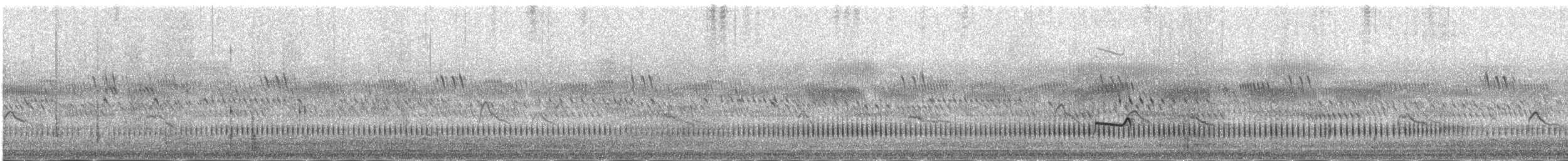 Long-tailed Nightjar - ML145823051