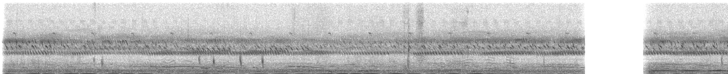 Prachtnachtschwalbe - ML145823131