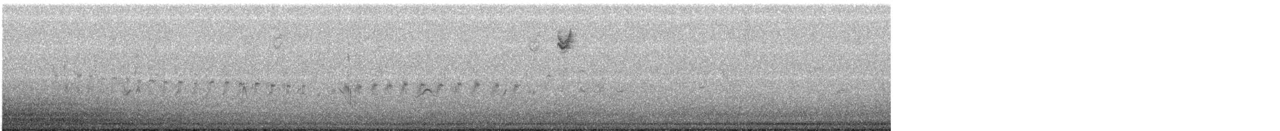 ムナジロアマツバメ - ML145836081