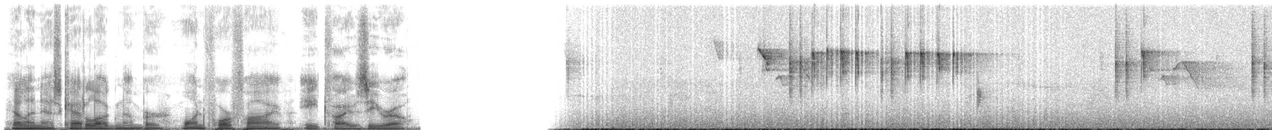 praktmønjefugl (speciosus gr.) - ML145850